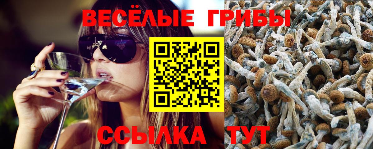 Псилоцибиновые грибы мицелий  Вход с VPN  Малгобек 